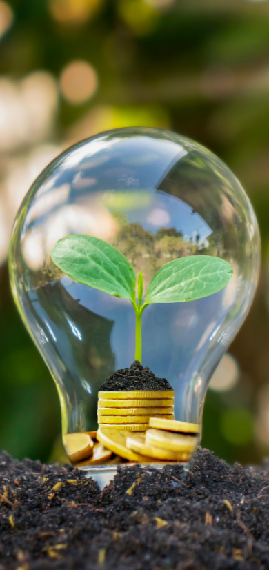 Sustainability at BELL