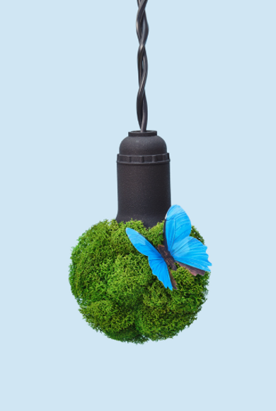 Sustainability Update: June 2024