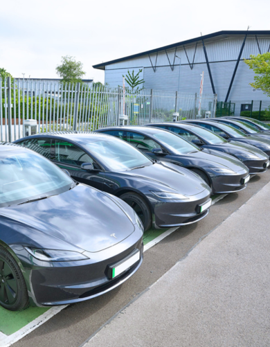 Sustainability Update: July 2025