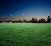 Clara GAA Listing Image