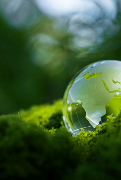 Carbon Emissions Reporting