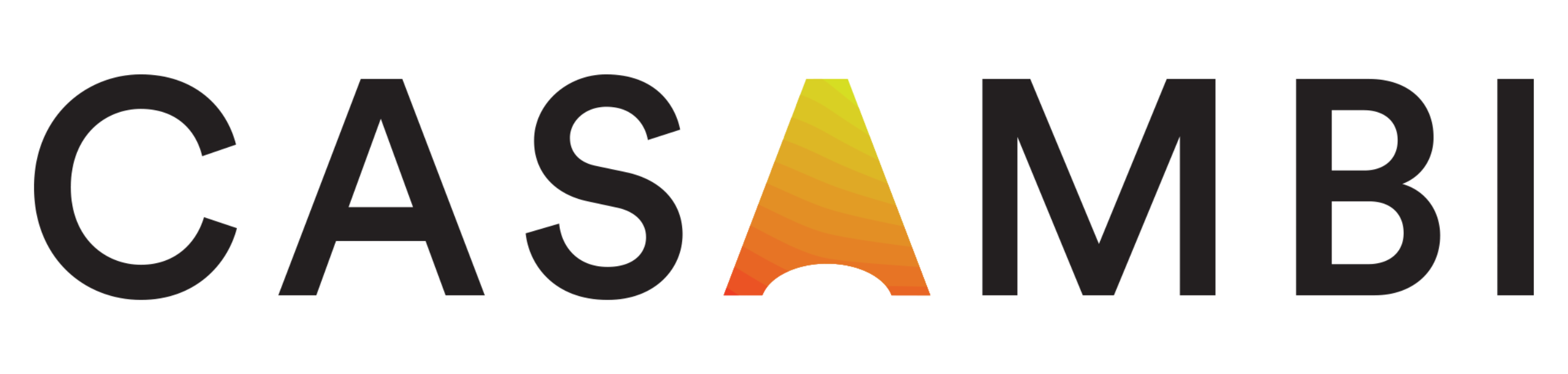 Casambi Black Logo